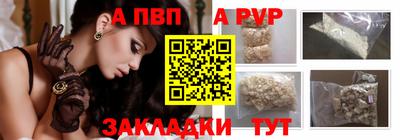шишки Лесосибирск