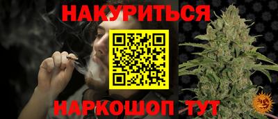 шишки Лесосибирск