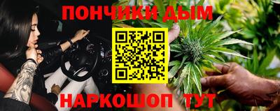 шишки Лесосибирск