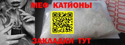 шишки Лесосибирск