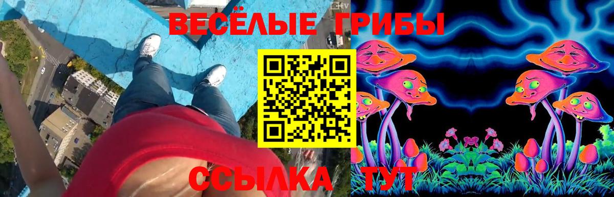 Галлюциногенные грибы ЛСД Звенигород